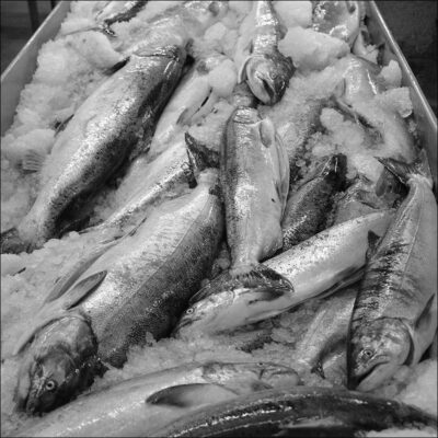 Fishhawk Fisheries - Fresh Seafood